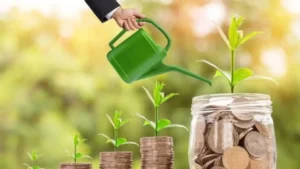 Beginner’s Guide to Saving and Investing Wisely