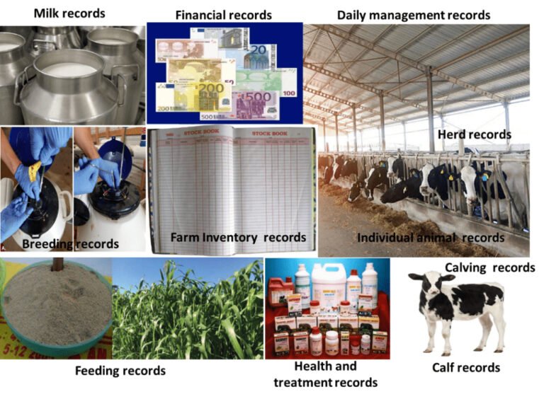 What Is Farm Record?