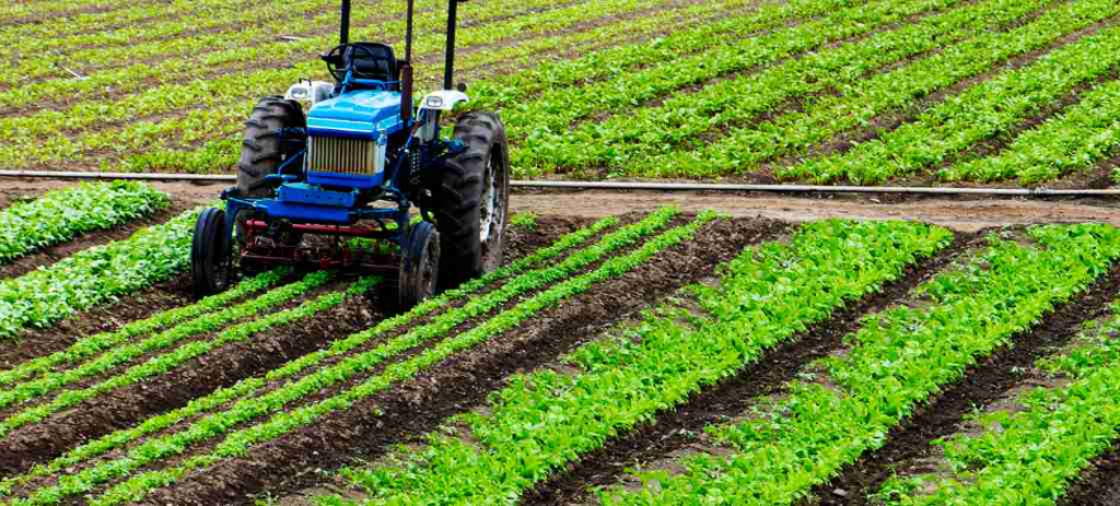 What Is Agriculture?